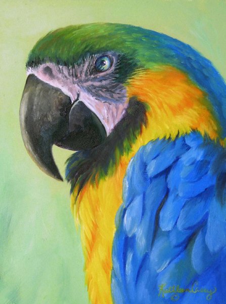 Пейзаж с попугаем