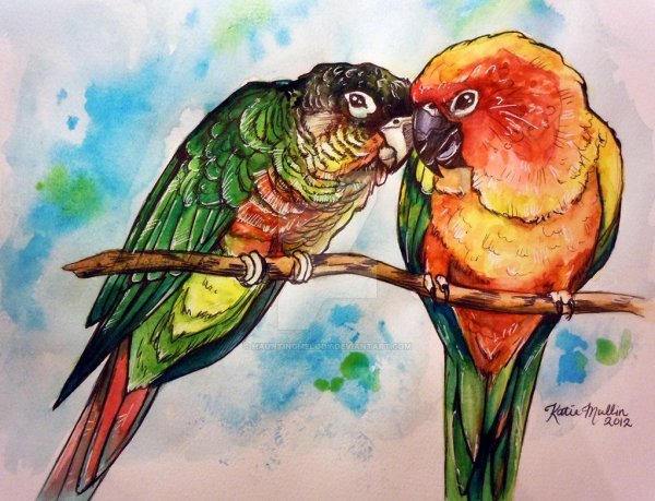 Экзотические птицы рисовать