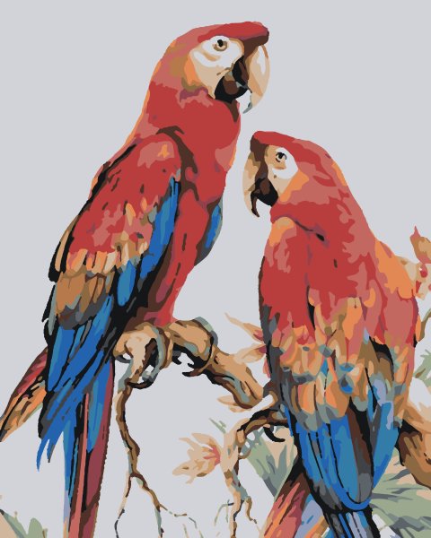 Попугай для рисования
