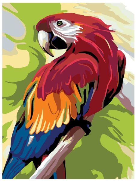 Волнистые попугайчики неразлучники