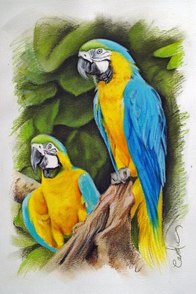 Милые рисунки