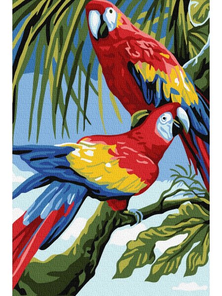 Птицы цветными карандашами