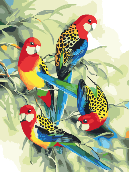 Рисование по номерам попугаи