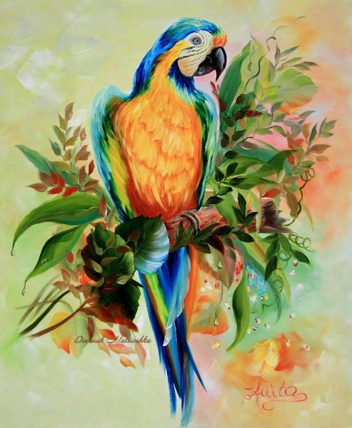 Попугай Какаду акварель