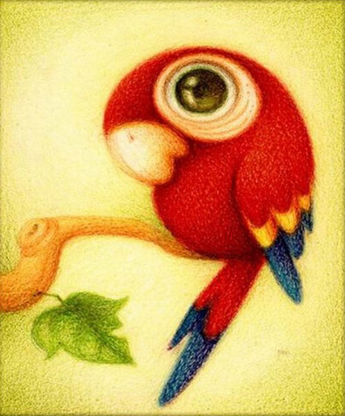 Попугай ара