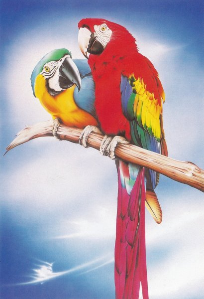 Попугай картина маслом