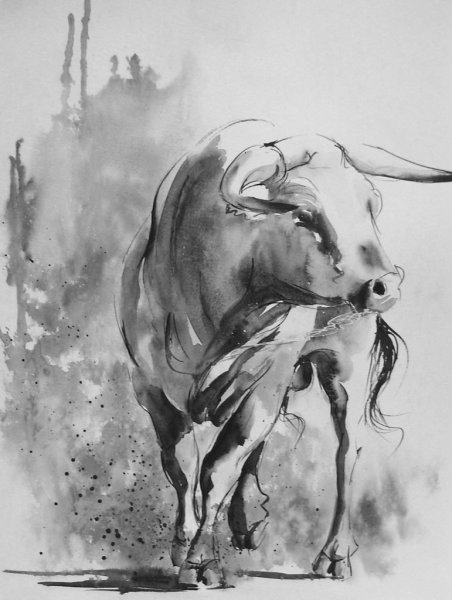 Бык акварель