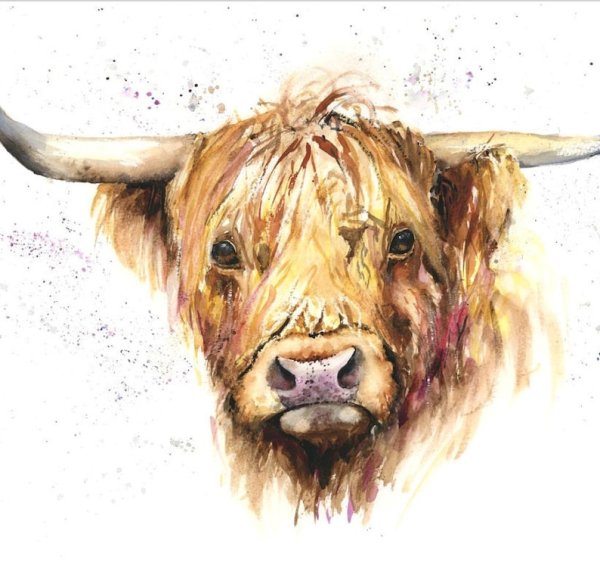Бычок акварель