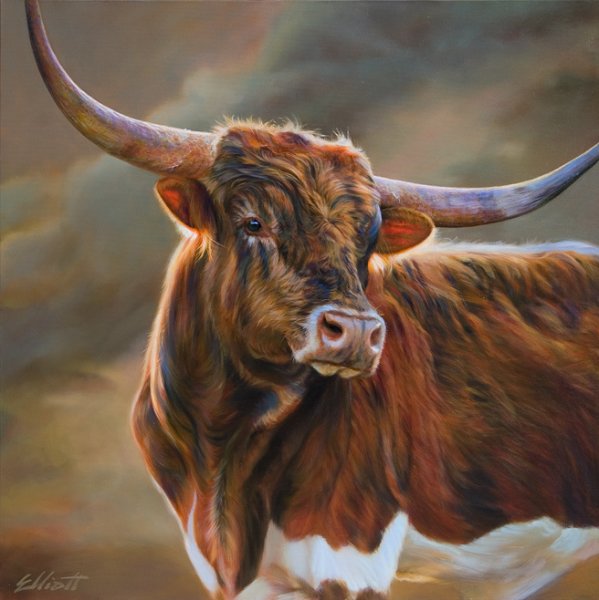 Тереза Эллиотт бык