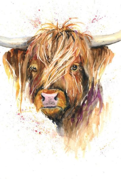 Бык акварель