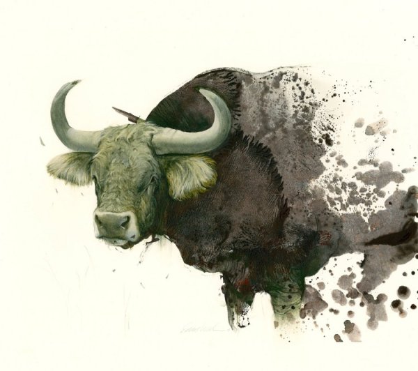 Бык картина