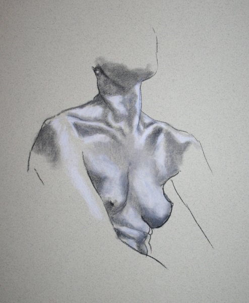 Женская грудь зарисовки