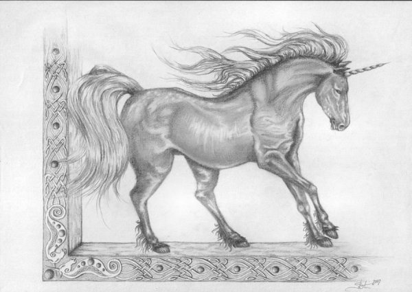 Настоящие рисунки