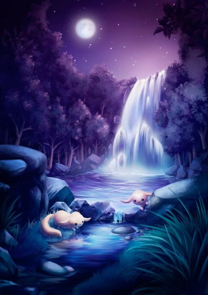 Коты Воители лунное озеро