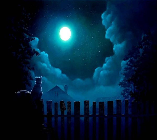 Лунная ночь в деревне