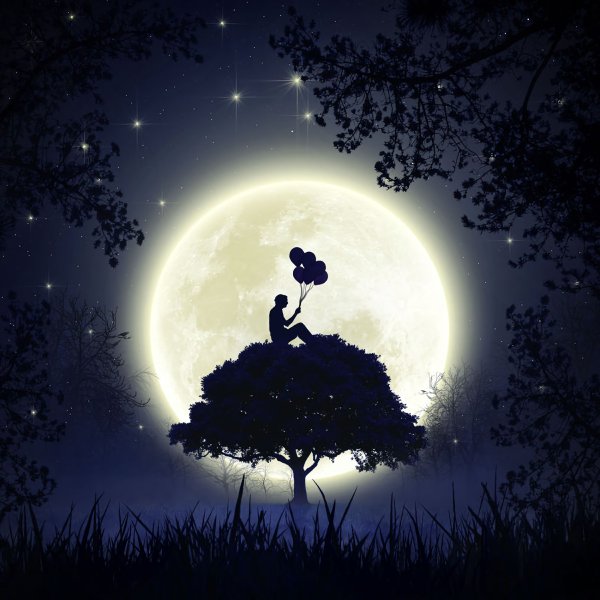 Дерево под луной