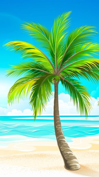 Море пальмы