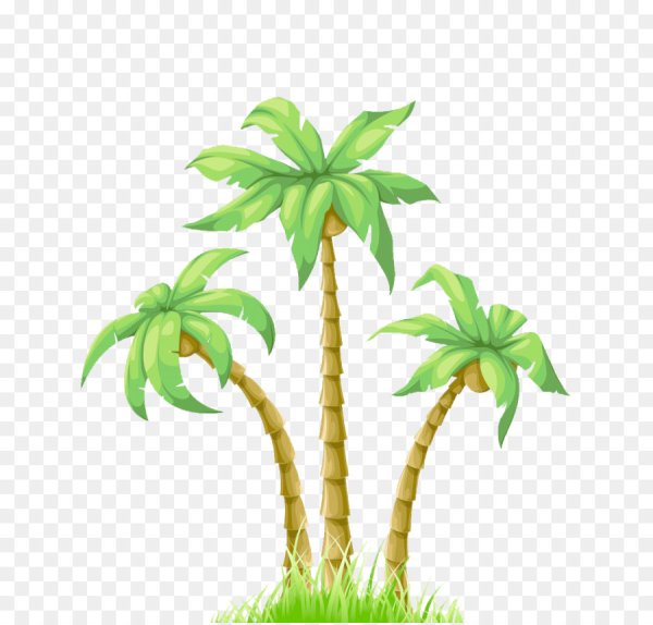 Пальма печать