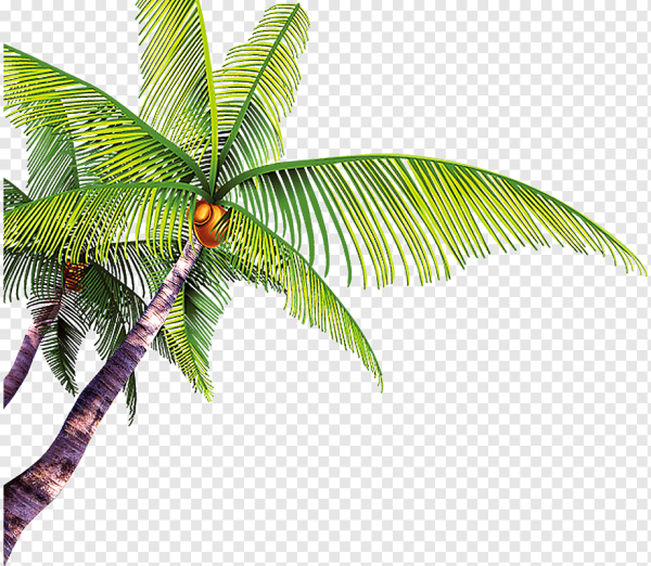 Пальма красками