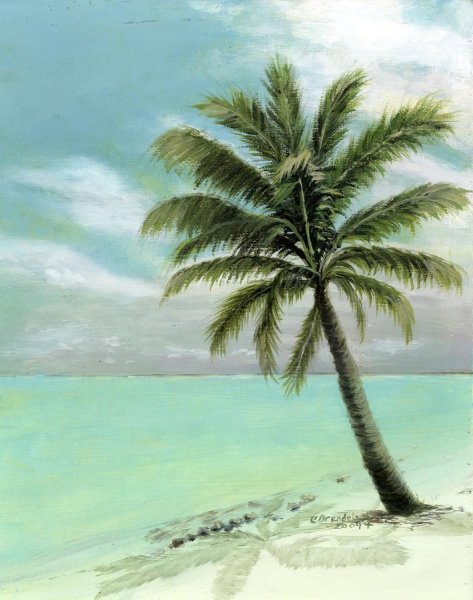 Остров и пальмы силует