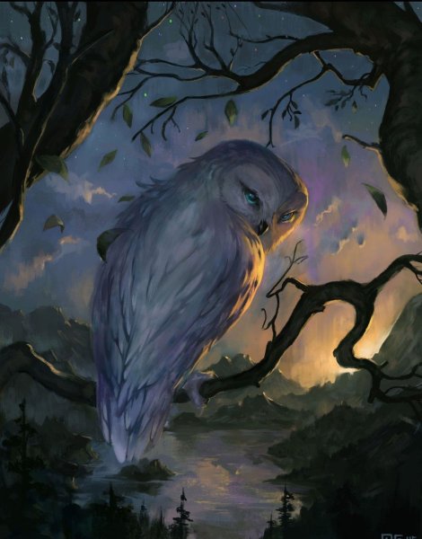 Сова сипуха фэнтези