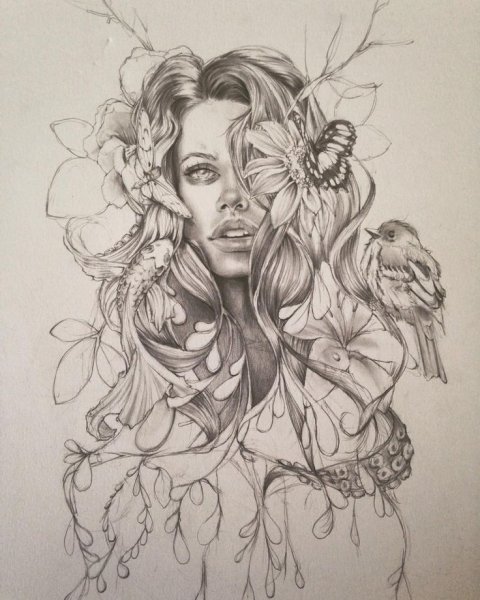 Рисунки карандашом