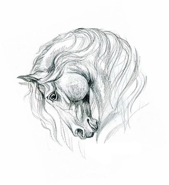 Рисунки карандашом