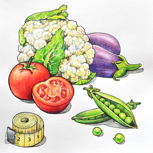 Рисование фруктов и овощей