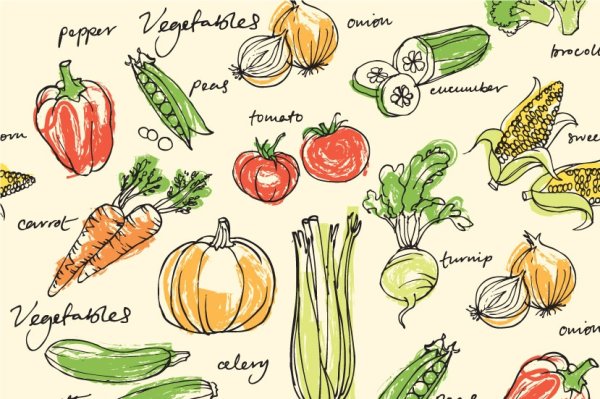 Нарисованные свежие овощи