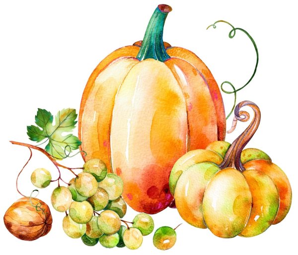 Рисовать фрукты