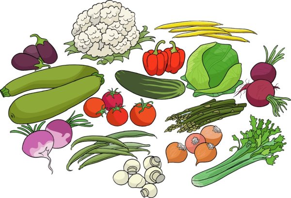 Нарисовать овощи