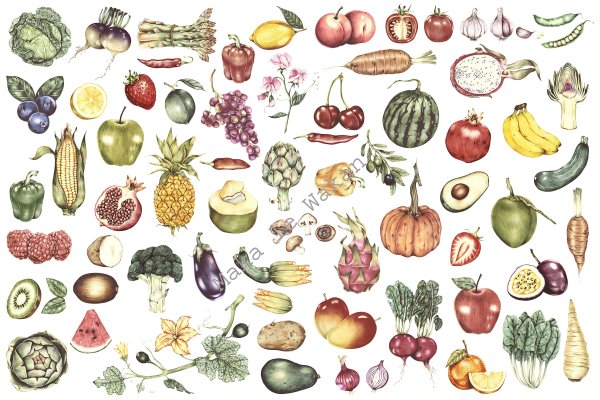 Изображение овощей