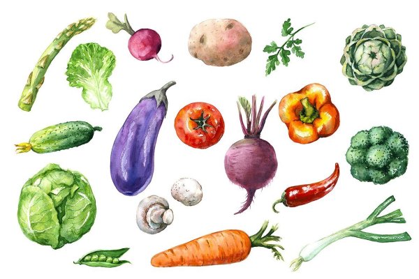 Овощи красивые рисунки