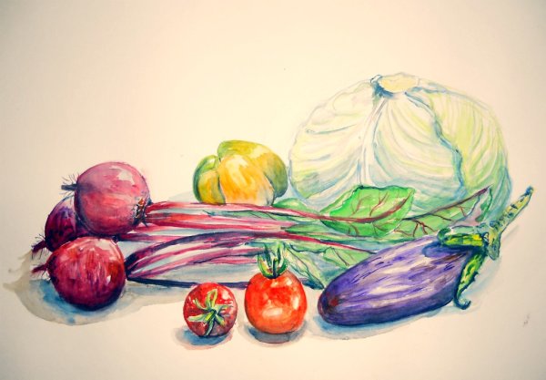 Овощные культуры рисунок