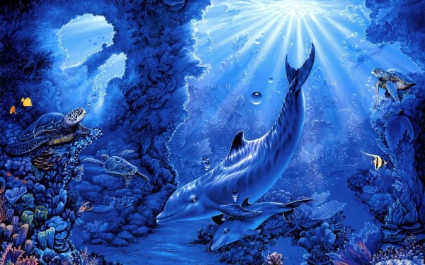 Подводный пейзаж