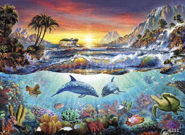 Адриан Честерман дельфины