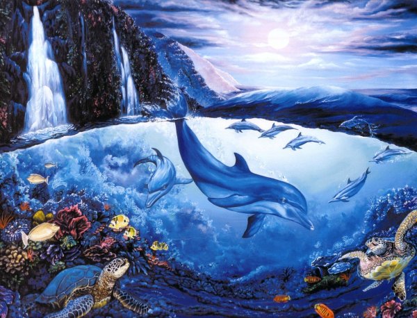 Волшебный мир дельфинов