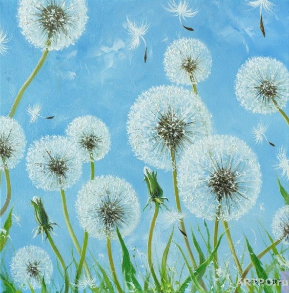 Картина одуванчик