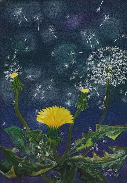 Одуванчик арт