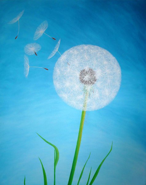 Одуванчик арт