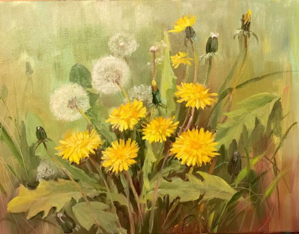 Живопись Ларисса Гамильтон , одуванчики
