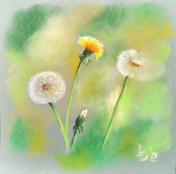 Картины Екатерины Березюк одуванчики
