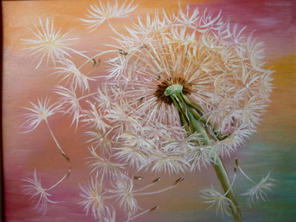 Катерина Джеймс одуванчик