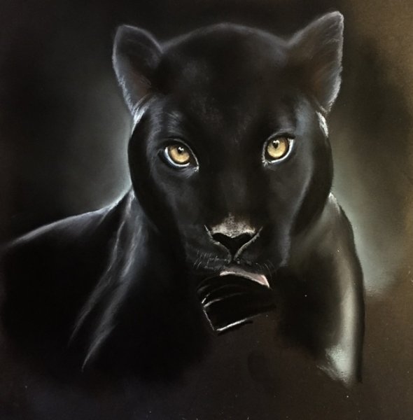 Пантера на аву