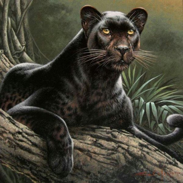 Ягуар Тотем леопард