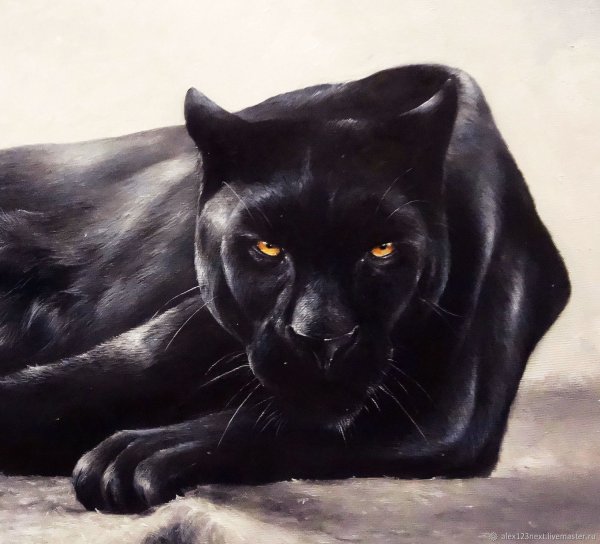 Пантера картина маслом
