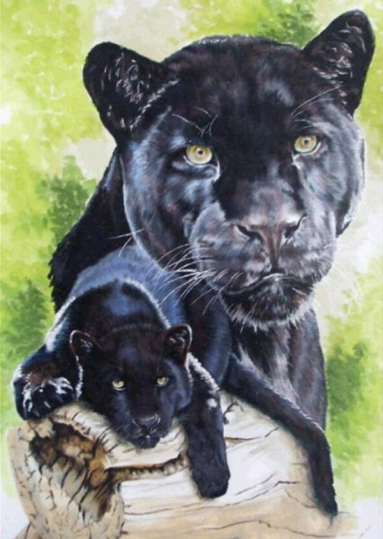 Алмазная мозаика пантера черная