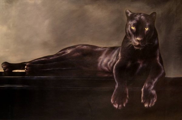 Элегантная пантера