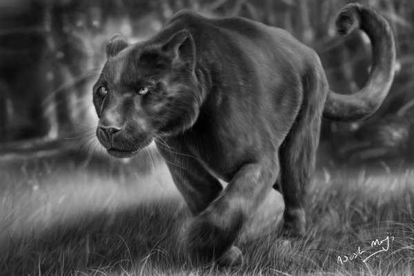 Пантера арт