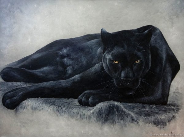 Пантера картина маслом